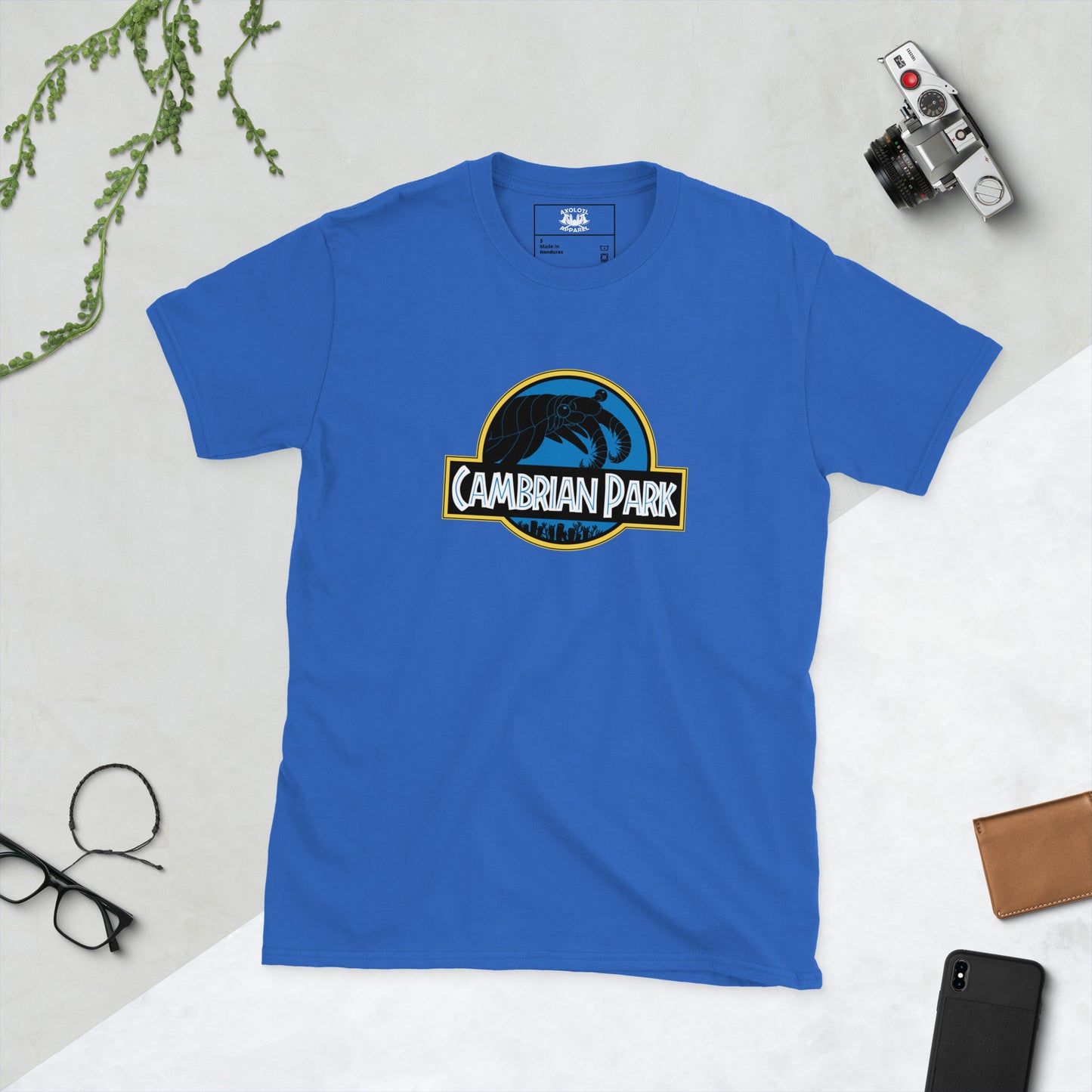 Cambrian Park Unisex Short Sleeve T-shirt blue flat